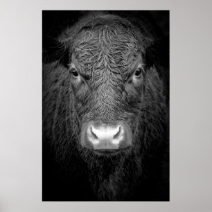 POSTER FIM-ACIMA DA VACA DAS MONTANHAS - PRETO & BRANCO