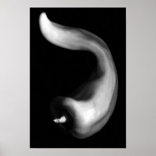 Poster Fim Curvy da pimenta acima da fotografia preto e