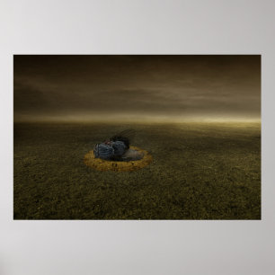 Póster Fim de um objetivo 2013