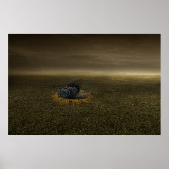 Póster Fim do objetivo 2013 (Frente)