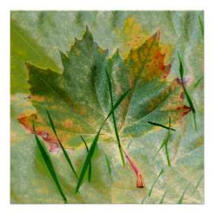 Póster Fim do outono