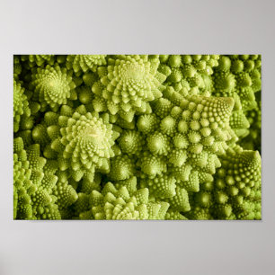 Póster Fim do vegetal dos brócolos de Romanesco acima
