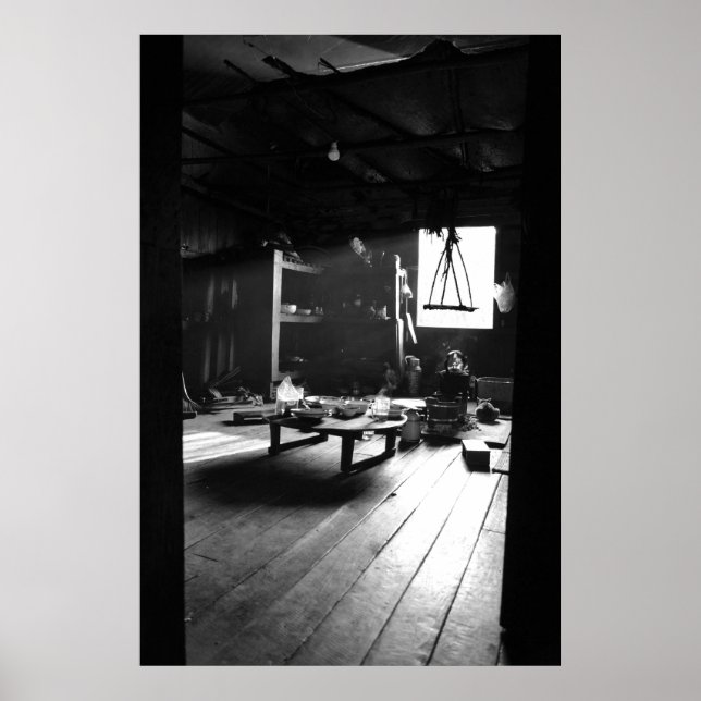 Poster Find the Cat! (Frente)