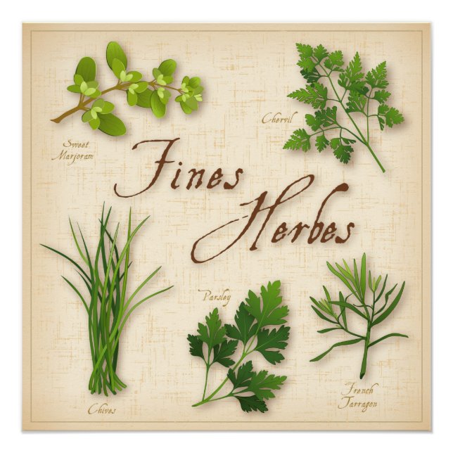 Póster Fines Herbes Poster (Frente)