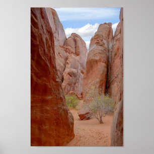 Poster Fins, Arches National Park, Utah
