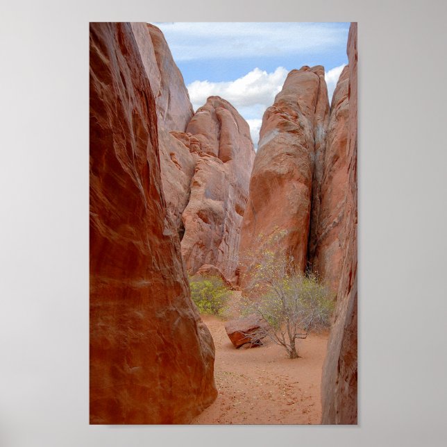Poster Fins, Arches National Park, Utah (Frente)