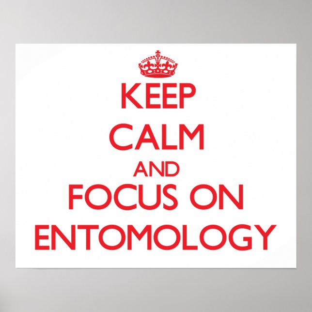 Poster Fique calmo e concentre-se na ENTOMOLOGIA (Frente)