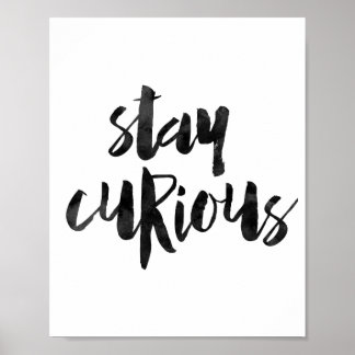 Poster Fique curioso