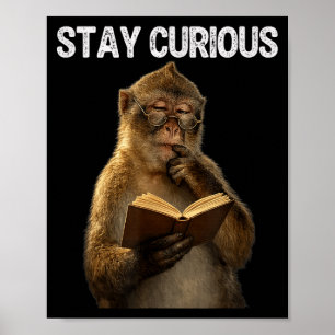 Poster Fique curioso macaco rato de biblioteca lendo livr