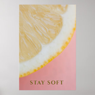 Poster Fique Macio: Arte Minimalista de Citrino e Rosa Pa