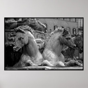 Póster Firenze