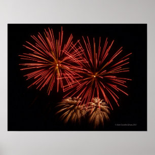Póster Fireworks 3