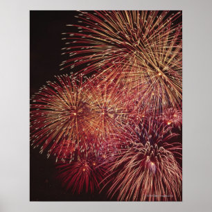 Póster Fireworks 3