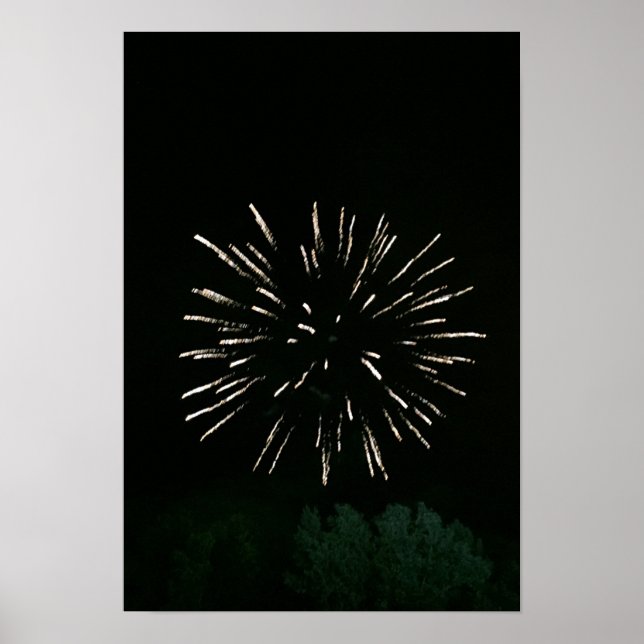 Póster Fireworks com árvore (Frente)