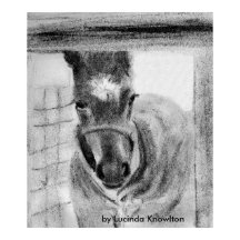 First Time Out, por Lucinda Knowlton