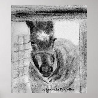 Póster First Time Out, por Lucinda Knowlton