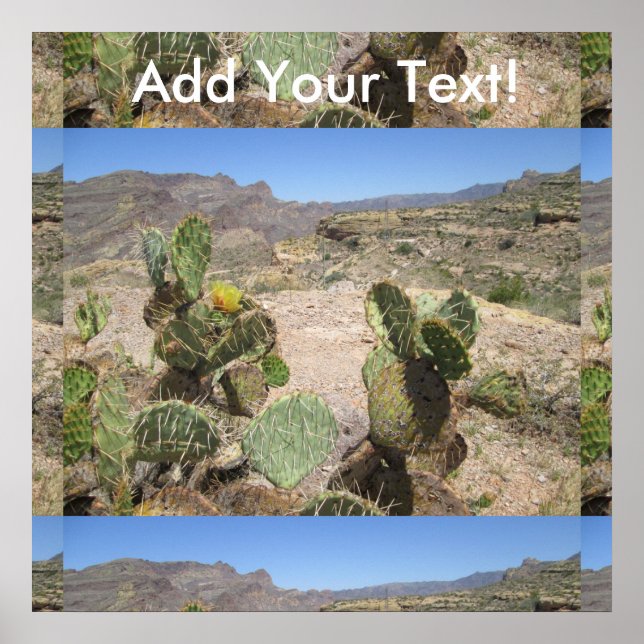 Póster Fish Creek Hill Vista Prickly Cactus (Frente)