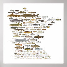Fishes de Minnesota
