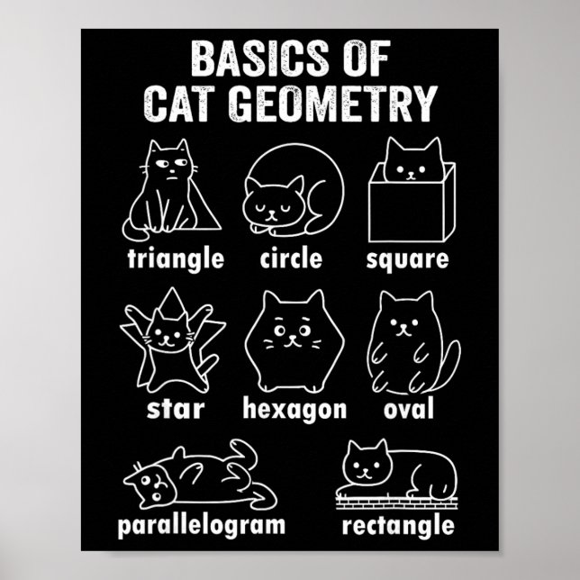 Poster Física Divertida Da Geometria Do Gato De Volta À M (Frente)