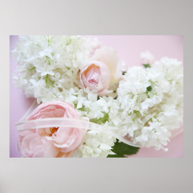 Póster fita rosa hydrangea (Frente)