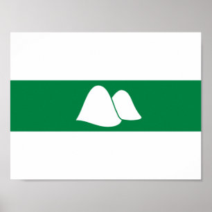 Póster Flag of Kurgan oblast