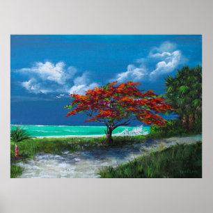 Poster Flamboyan Tree, Caribe, Porto Rico