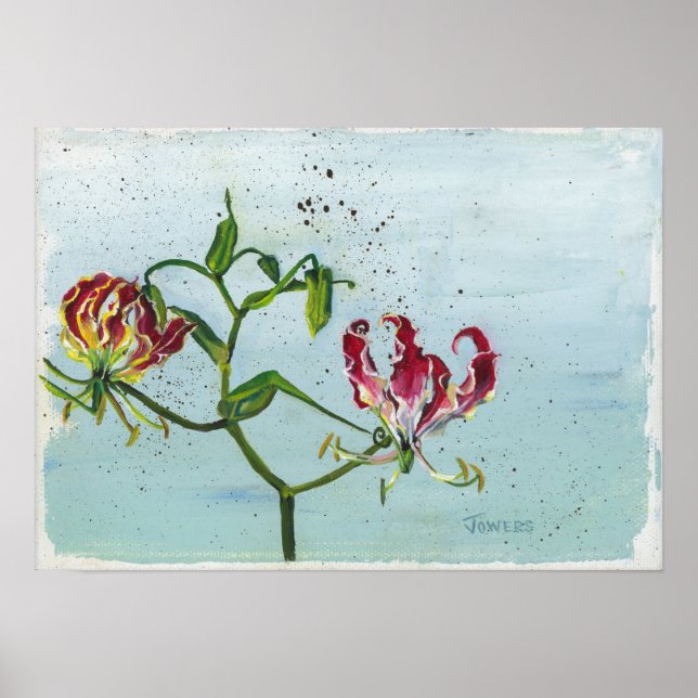 Poster Flame Lily por Cheryl Jowers (Frente)