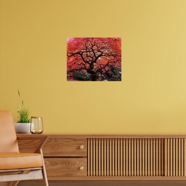 Poster Flaming Gnarly Japanese Maple Tree (Sala de Estar 2)