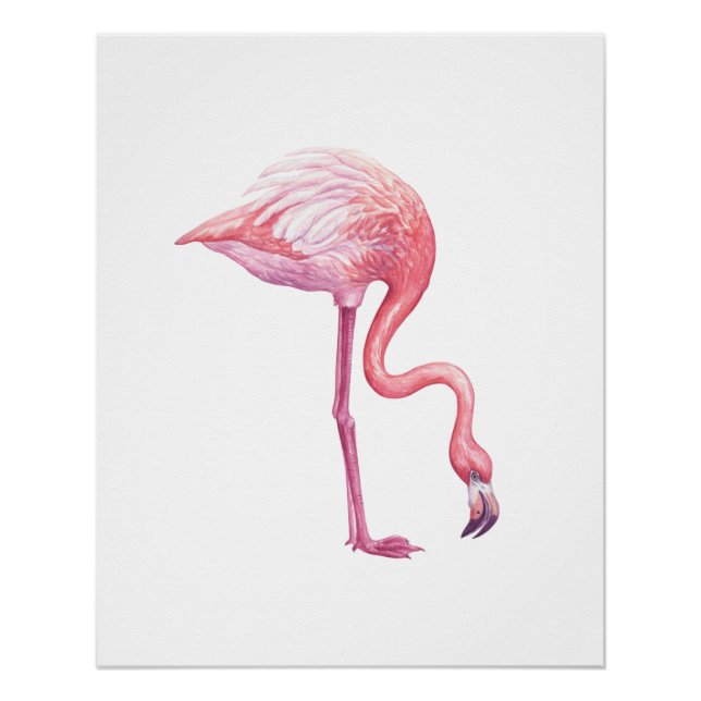 Póster Flamingo (Frente)