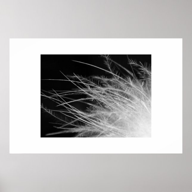 Póster flamingo (Frente)