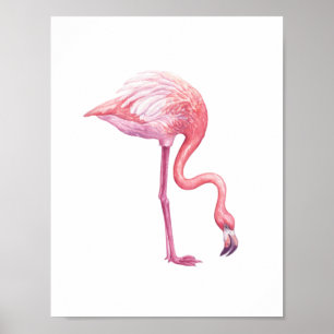 Poster Flamingo