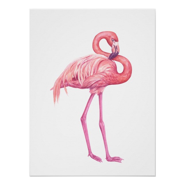 Póster Flamingo 2 (Frente)