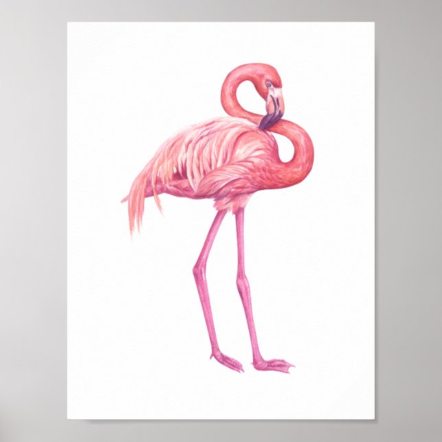 Poster Flamingo 2 (Frente)