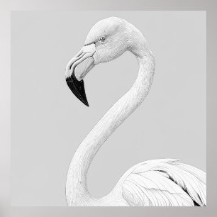 Poster Flamingo Bird Wild Nature - Ilustração Animal