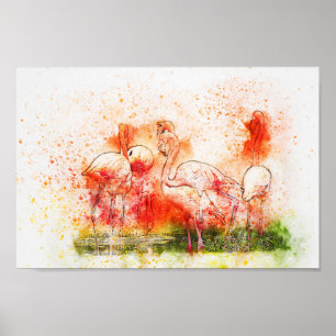 Poster Flamingo Birds