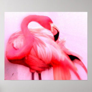 Póster Flamingo cor-de-rosa