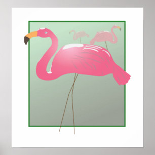 Póster Flamingo cor-de-rosa - VENCEDOR do PRÊMIO