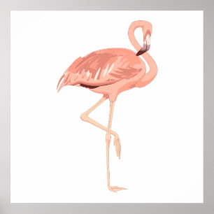 Poster Flamingo de Freddy