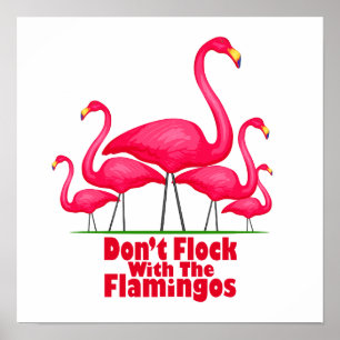 Póster Flamingo Flamingo
