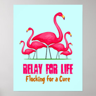 Póster Flamingo Lingo Rosa