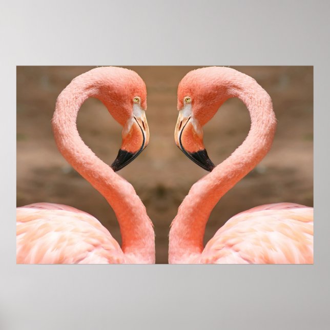 Póster Flamingo Love (Frente)