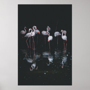 POSTER FLAMINGO NO FUNDO ESCURO