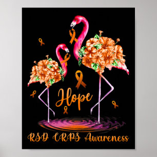Poster Flamingo Rsd Crps Consciência 1