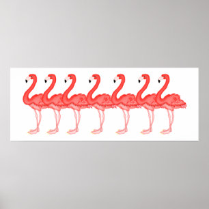 Poster Flamingo - SRF
