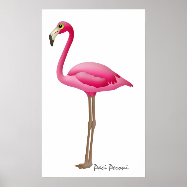 Poster Flamingo - SRF (Frente)