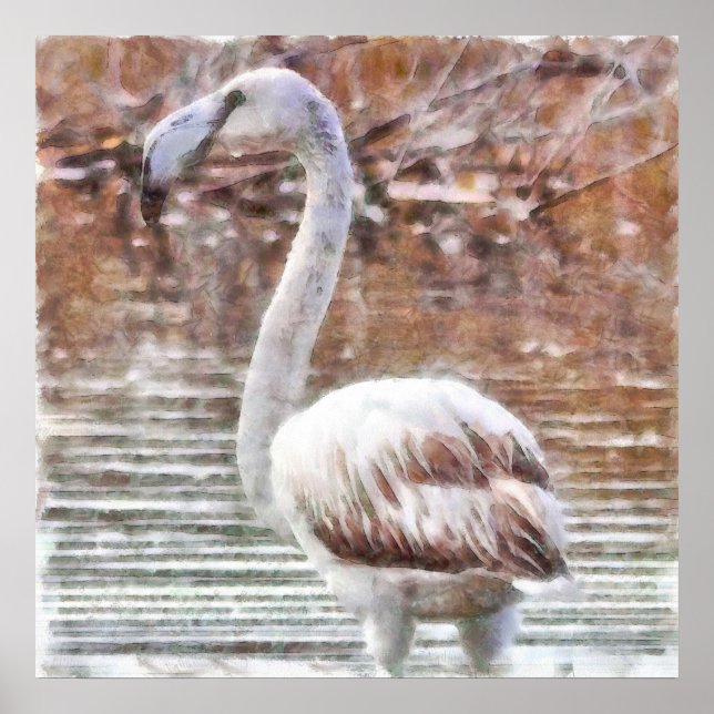 Poster Flamingo Watercolor Exótico (Frente)
