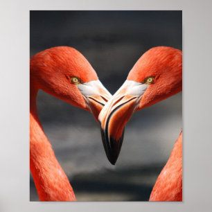 Poster Flamingoes no Amor
