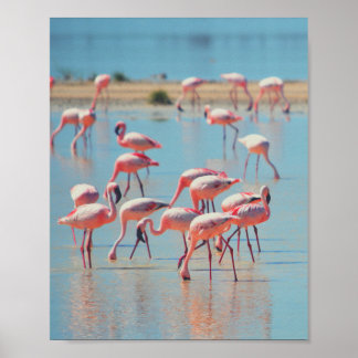 Poster Flamingos at Sunrise