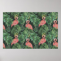 flamingos cor-de-água, pássaros exóticos, tropicai