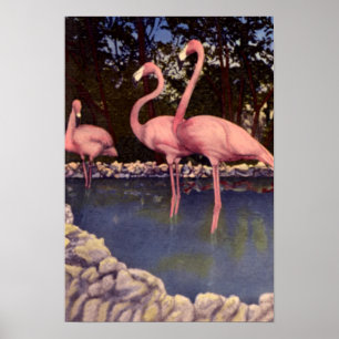 Póster Flamingos cor-de-rosa, Florida